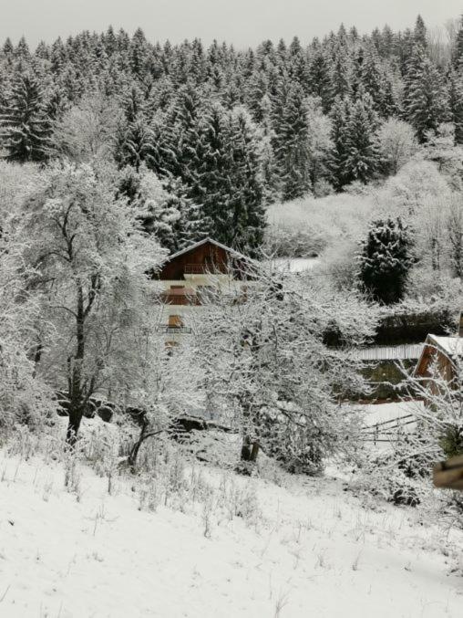 Apartament Kaban' Des Neiges Saint-Gervais-les-Bains Zewnętrze zdjęcie